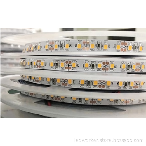 12V 24V SMD 2835 LED Strip Light Search
